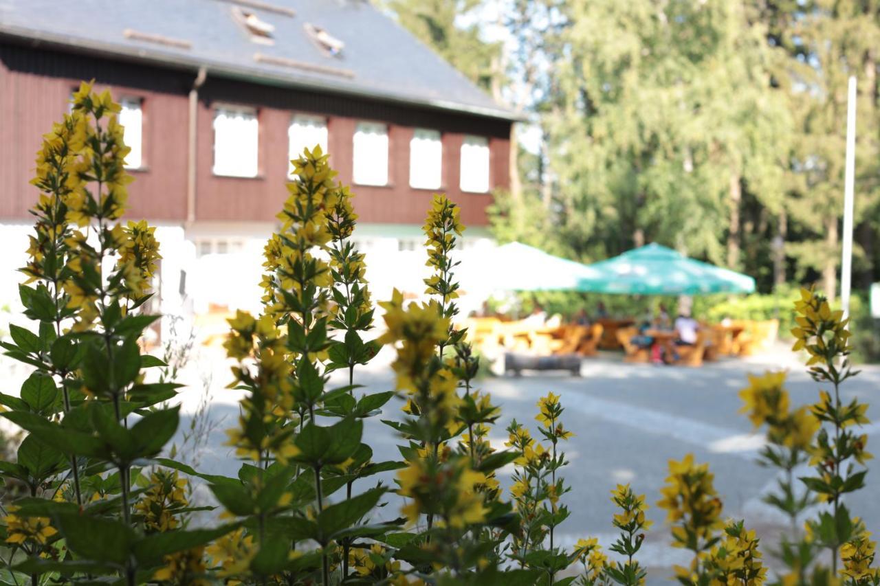 Bürger- und Berggasthaus Scheibenberg Exterior foto